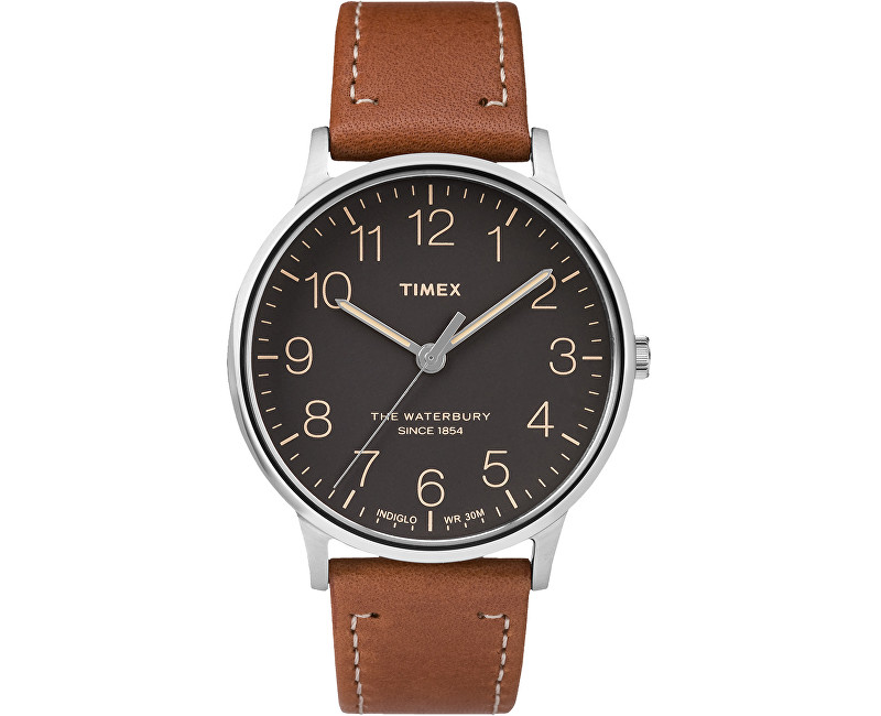 timex tw2p95800